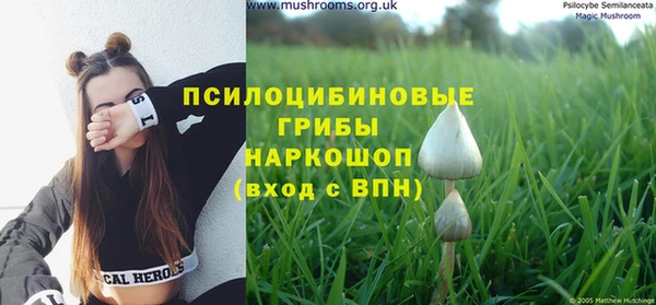 дживик Верея
