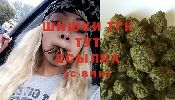 дживик Верея