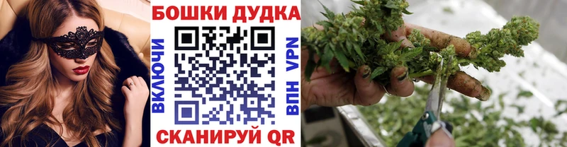 Купить закладки  Струнино  Бошки Шишки AK-47 